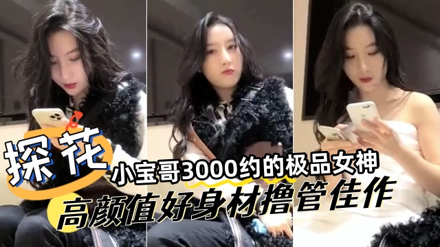 探花精选小宝哥3000网约极品女神高颜值好身材撸管佳作 封面